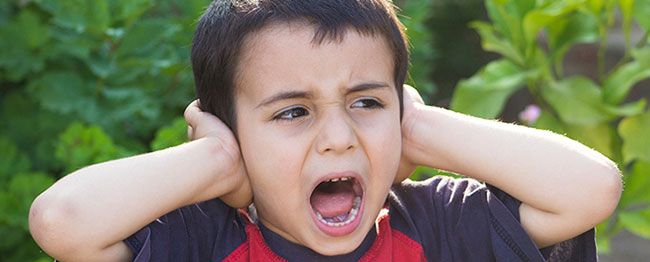 Buzz-Squeak-ratty（BSR） -  RTP公司磨损和摩擦技术