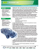 RTP公司技术简介 - 尼龙7091